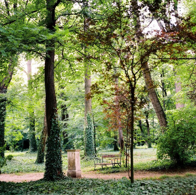 Kyriad Altmannsdorf Wien